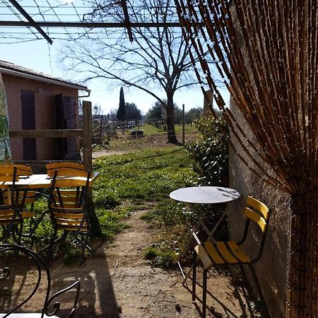 Studio Independant Dans Ferme Equestre Aups Ngoại thất bức ảnh